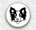 Border_Collie_FCI297_v2.jpg