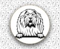 Komondor_FCI53.jpg