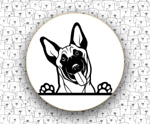 Owczarek Belgijski FCI15 v2