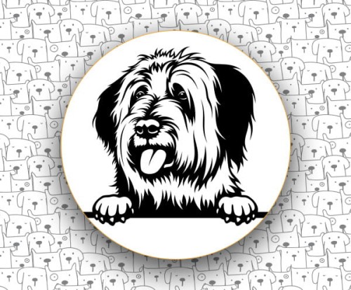 Owczarek_Francuski_Briard_FCI113.jpg