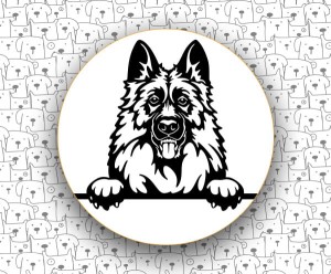 Owczarek Niemiecki FCI166