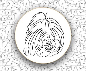 Polski Owczarek Nizinny FCI251