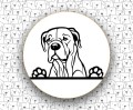 Dog_Argentyński_FCI292.jpg
