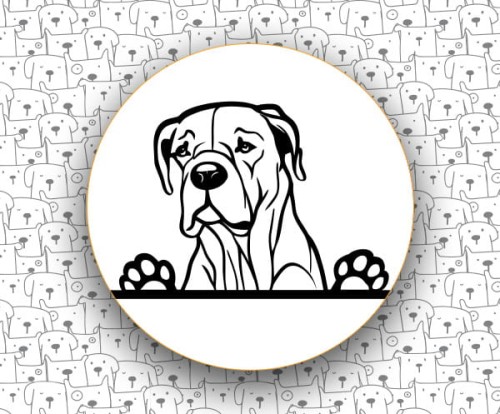 Dog_Argentyński_FCI292.jpg
