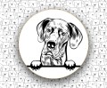 Dog_Niemiecki_FCI235_v1.jpg