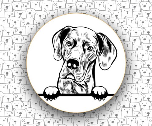 Dog_Niemiecki_FCI235_v1.jpg