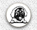 Leonberger_FCI145.jpg
