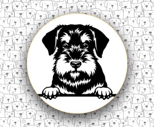 Sznaucer Miniaturowy FCI183