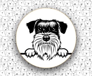 Sznaucer Średni FCI182