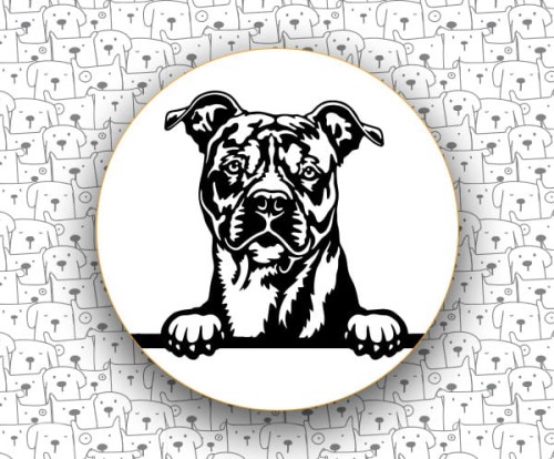 Amerykański_Staffordshire_Terrier_FCI286_v2.jpg