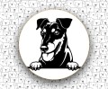 Manchester_Terrier_FCI71.jpg
