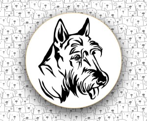 Terrier Szkocki FCI73