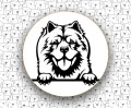 Chow_Chow_FCI205.jpg