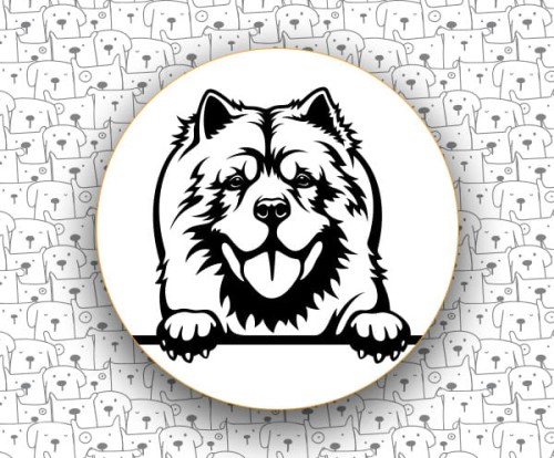 Chow_Chow_FCI205.jpg
