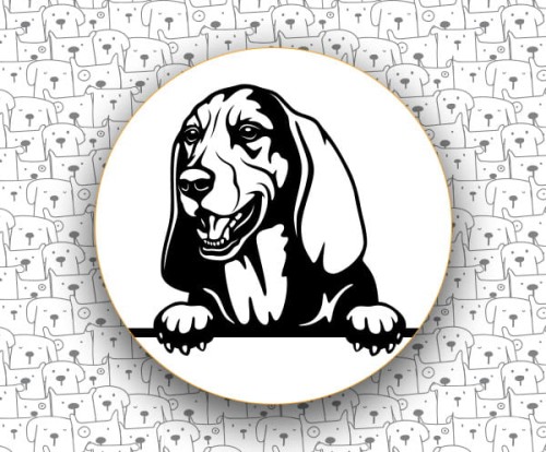 Basset_Hound_FCI163.jpg