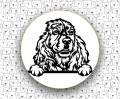 Cocker_Spaniel_Angielski_FCI5_v1.jpg