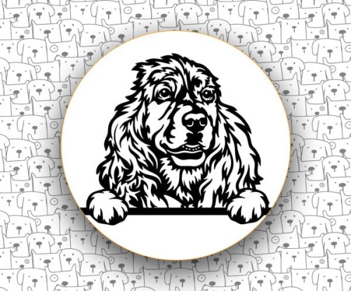 Cocker_Spaniel_Angielski_FCI5_v1.jpg