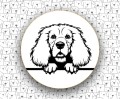 Cocker_Spaniel_Angielski_FCI5_v2.jpg