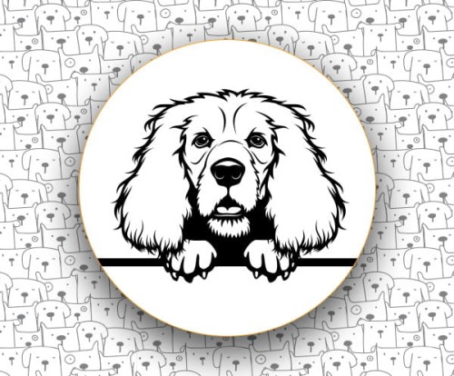 Cocker_Spaniel_Angielski_FCI5_v2.jpg