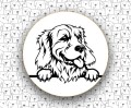 Golden_Retriever_FCI111_v1.jpg