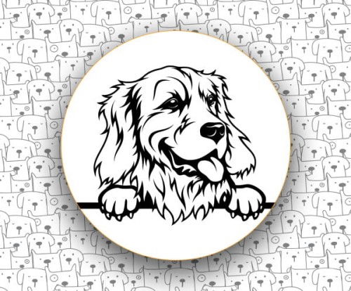 Golden_Retriever_FCI111_v1.jpg