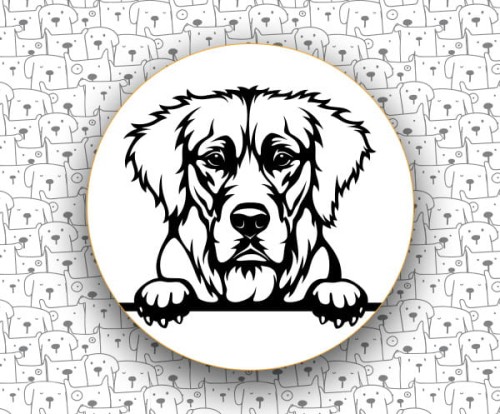 Golden_Retriever_FCI111_v2.jpg