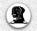 Curly_Coated_Retriever_FCI110.jpg