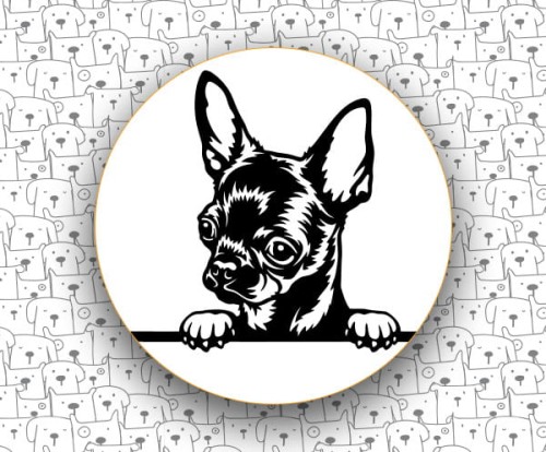 Chihuahua_FCI218_v1.jpg