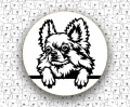 Chihuahua_FCI218_v2.jpg