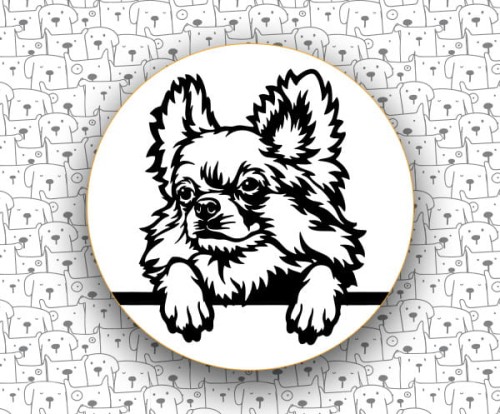 Chihuahua_FCI218_v2.jpg