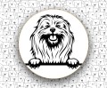 Lhasa_Apso_FCI227.jpg