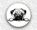 Mops_FCI253.jpg