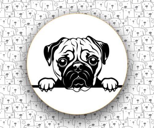Mops_FCI253.jpg