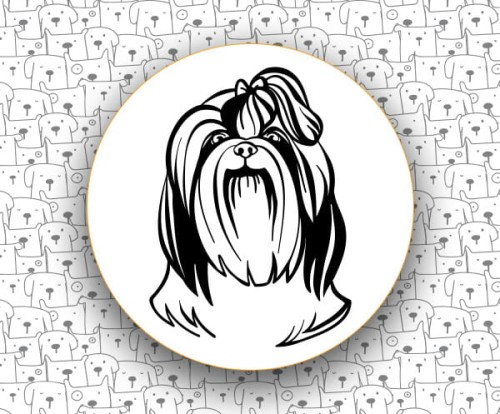 Shih_Tzu_FCI208_v1.jpg