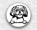 Shih_Tzu_FCI208_v2.jpg