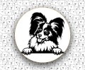 Spaniel_Kontynentalny_FCI77_Papillon_v1.jpg