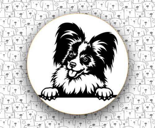 Spaniel_Kontynentalny_FCI77_Papillon_v1.jpg