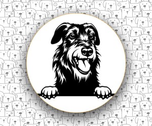 Wilczarz Irlandzki FCI160