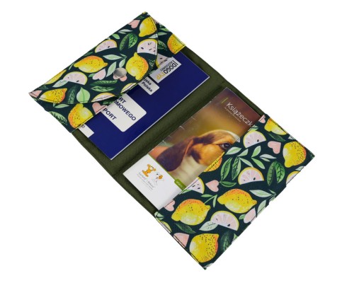 Dogotyp_Etui_Środek_Lemon.jpg