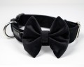 Dogotyp_Obroża_Welur_Czarny_kokardka2.jpg