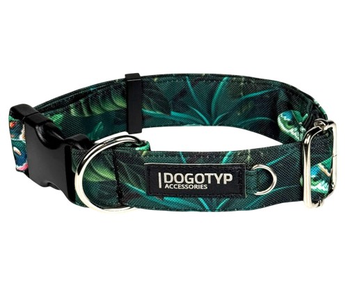 Dogotyp_Obroża_RainForest.jpg